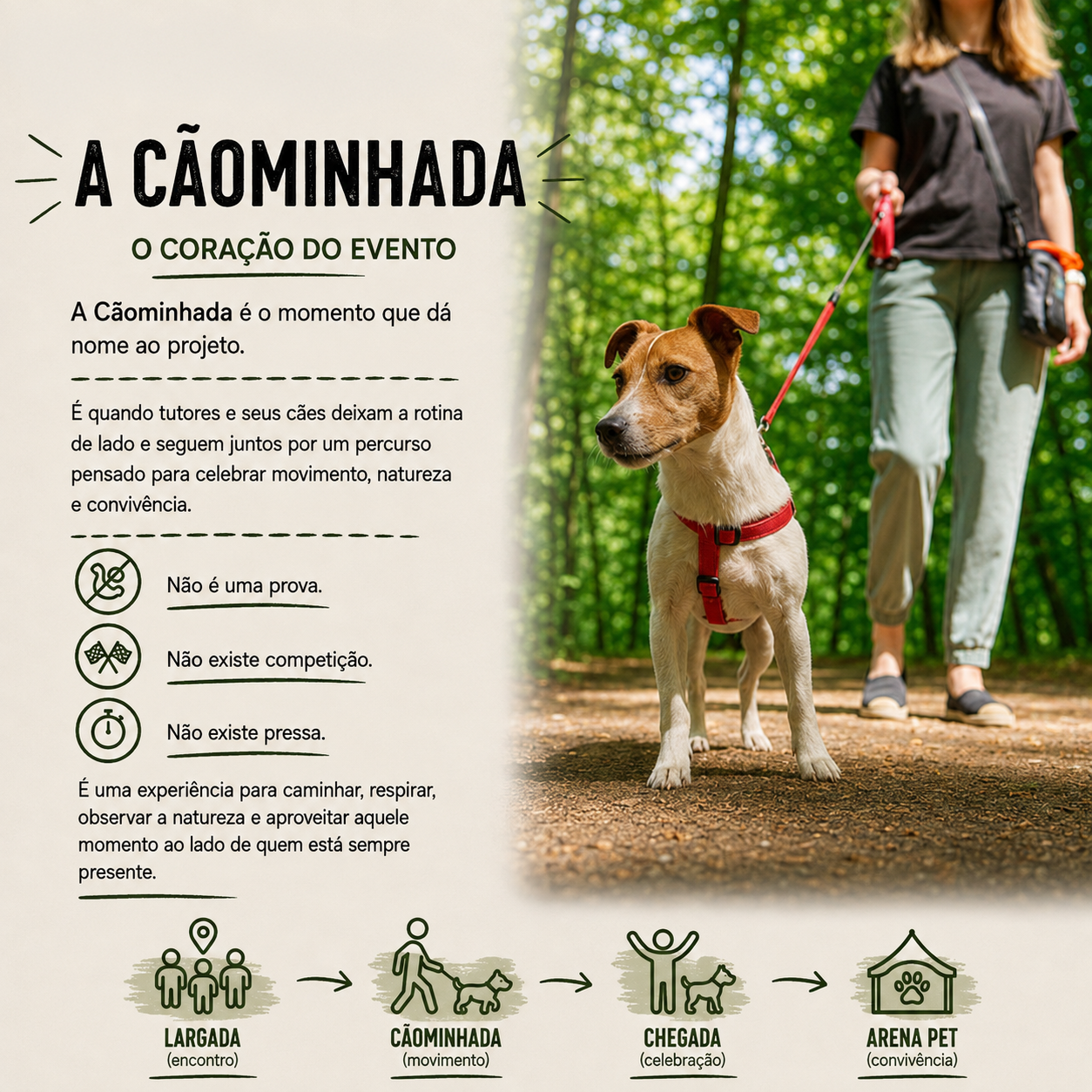 CÃOMINHADA - BOA PRA CACHORRO 3